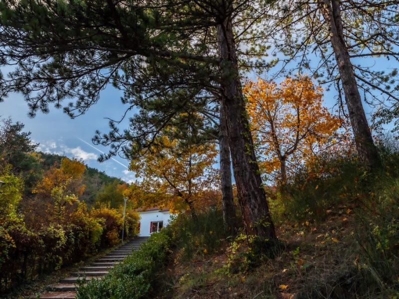 La maison d ambel sur le gite de la maison du col à marginac en diois La maison d ambel sur le gite de la maison du col à marginac en diois